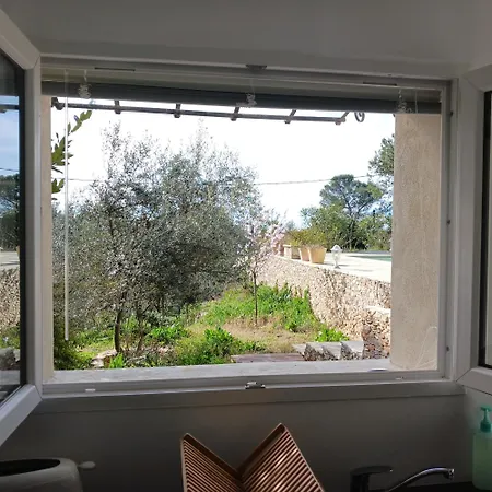 Petit Avec Jardin Et Piscine